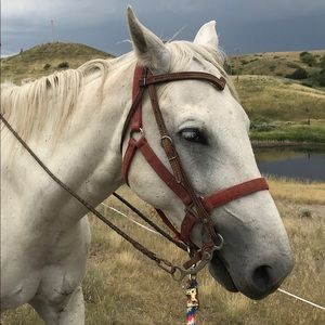 Meet your Posher, Tammy